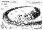 ../cartoons/anc_spin.jpg (31224 bytes)